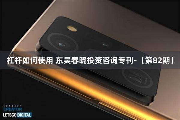 杠杆如何使用 东吴春晓投资咨询专刊-【第82期】