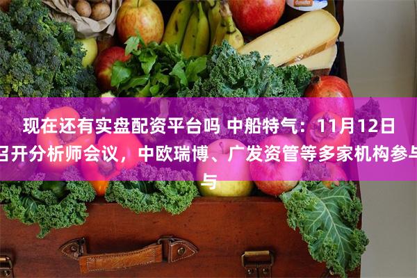 现在还有实盘配资平台吗 中船特气：11月12日召开分析师会议，中欧瑞博、广发资管等多家机构参与