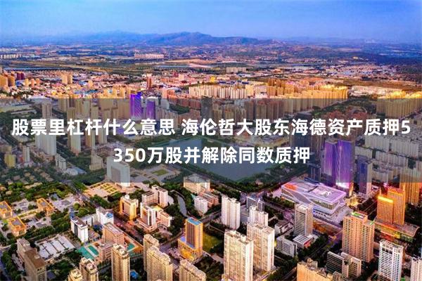 股票里杠杆什么意思 海伦哲大股东海德资产质押5350万股并解除同数质押