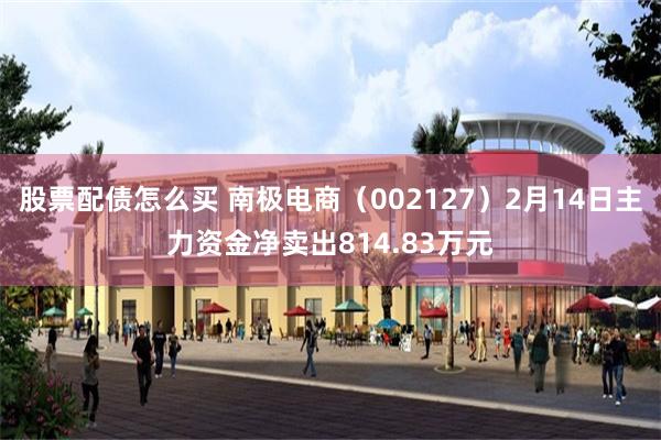 股票配债怎么买 南极电商（002127）2月14日主力资金净卖出814.83万元