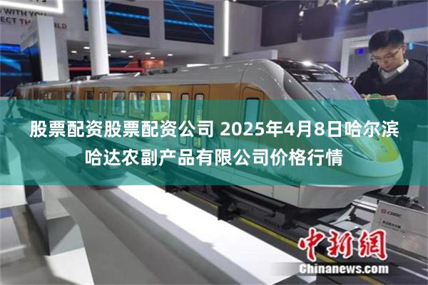 股票配资股票配资公司 2025年4月8日哈尔滨哈达农副产品有限公司价格行情
