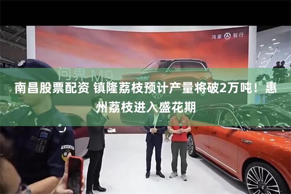 南昌股票配资 镇隆荔枝预计产量将破2万吨！惠州荔枝进入盛花期