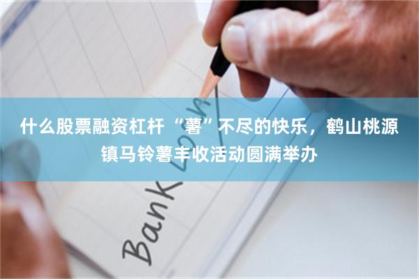 什么股票融资杠杆 “薯”不尽的快乐，鹤山桃源镇马铃薯丰收活动圆满举办