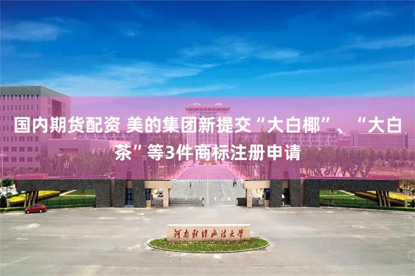 国内期货配资 美的集团新提交“大白椰”、“大白茶”等3件商标注册申请