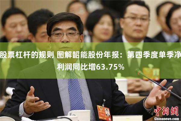 股票杠杆的规则 图解韶能股份年报：第四季度单季净利润同比增63.75%