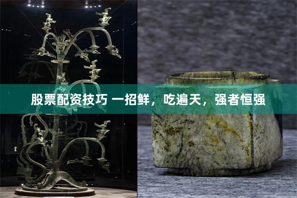 股票配资技巧 一招鲜，吃遍天，强者恒强