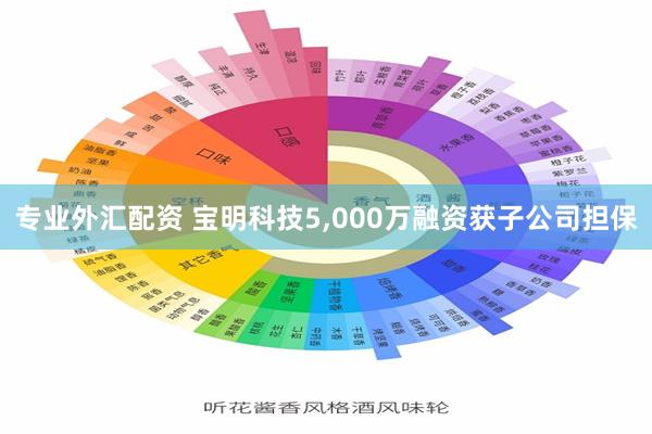专业外汇配资 宝明科技5,000万融资获子公司担保