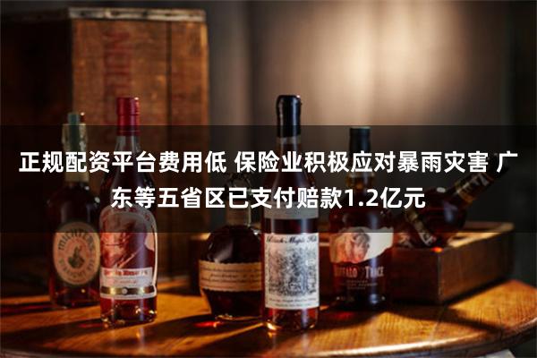 正规配资平台费用低 保险业积极应对暴雨灾害 广东等五省区已支付赔款1.2亿元