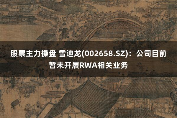 股票主力操盘 雪迪龙(002658.SZ)：公司目前暂未开展RWA相关业务