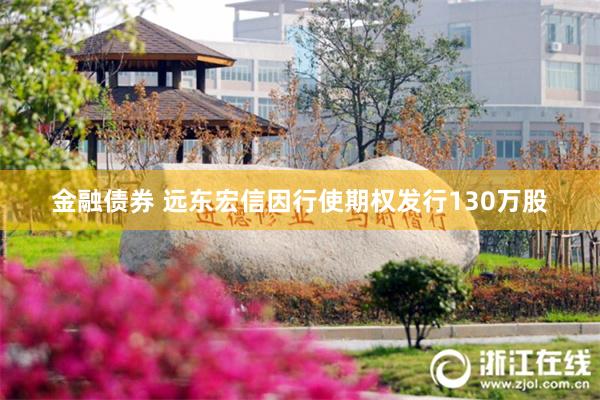 金融债券 远东宏信因行使期权发行130万股