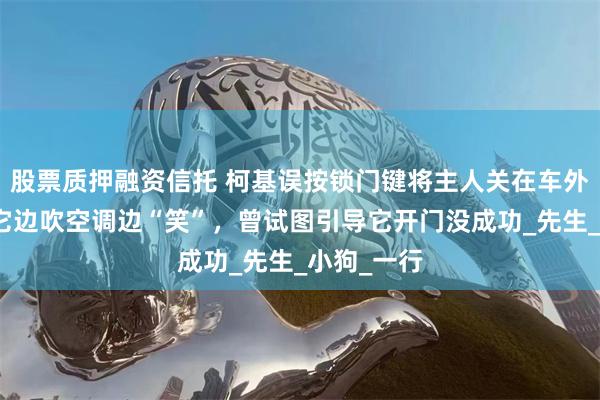 股票质押融资信托 柯基误按锁门键将主人关在车外，主人：它边吹空调边“笑”，曾试图引导它开门没成功_先生_小狗_一行