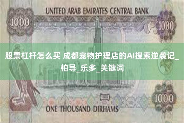股票杠杆怎么买 成都宠物护理店的AI搜索逆袭记_柏导_乐多_关键词