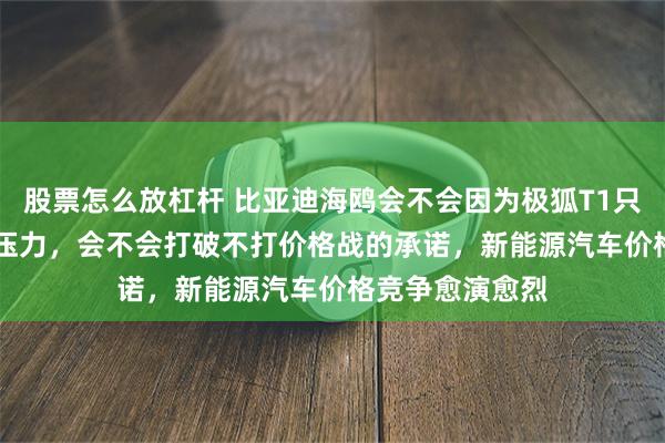 股票怎么放杠杆 比亚迪海鸥会不会因为极狐T1只卖6.28万感到压力，会不会打破不打价格战的承诺，新能源汽车价格竞争愈演愈烈