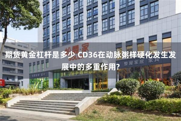 期货黄金杠杆是多少 CD36在动脉粥样硬化发生发展中的多重作用?