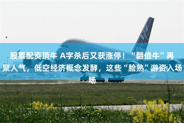股票配资顶牛 A字杀后又获涨停！“翻倍牛”再聚人气，低空经济概念发酵，这些“脸熟”游资入场