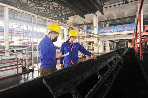 奮楫中流浪更急——公司多個單位提前實現“雙過半”紀實